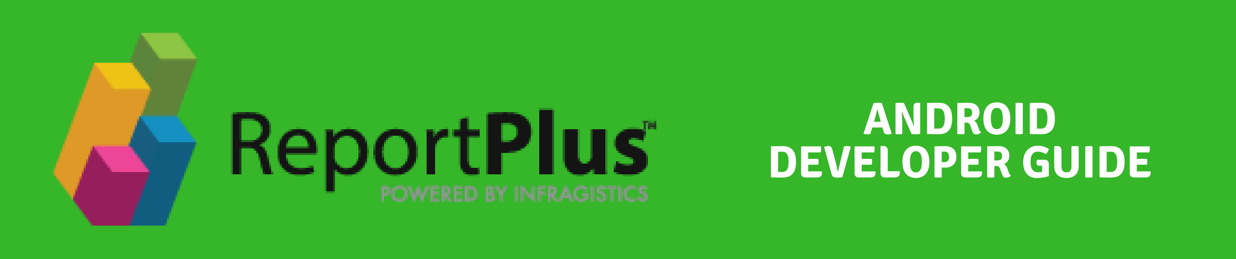 ReportPlus Android Developer Guide