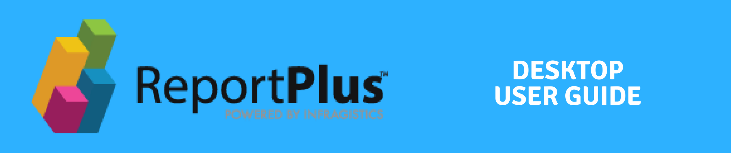 ReportPlus Desktop User Guide