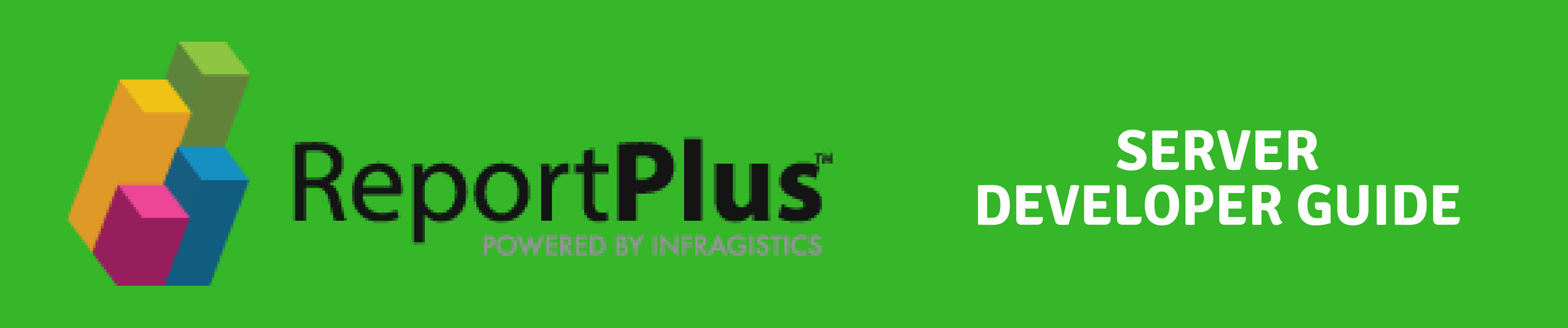 ReportPlus Server Developer Guide
