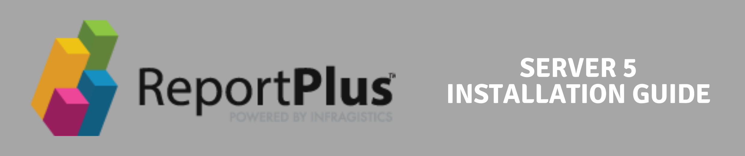 ReportPlus Server 5 Installation Guide