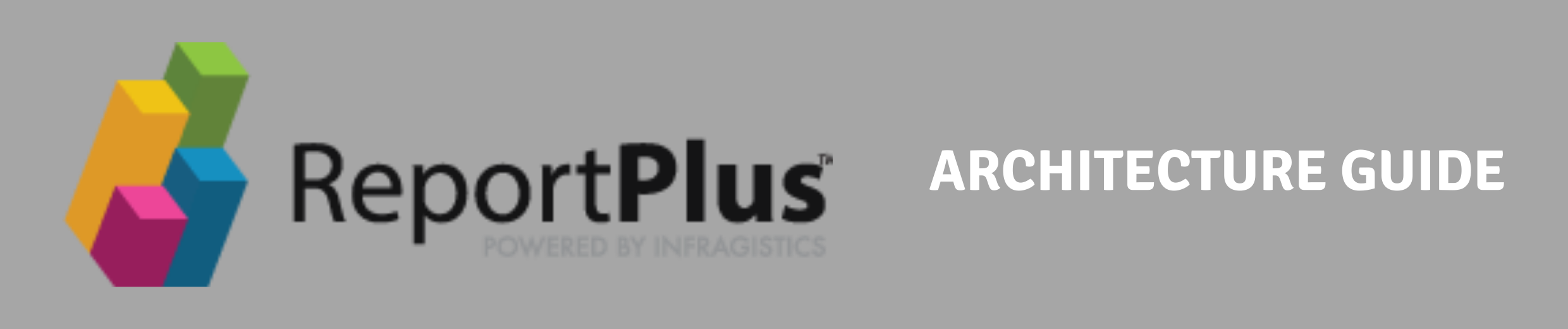 ReportPlus Architecture Guide